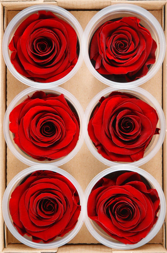 Do Preserved Roses Last Forever?